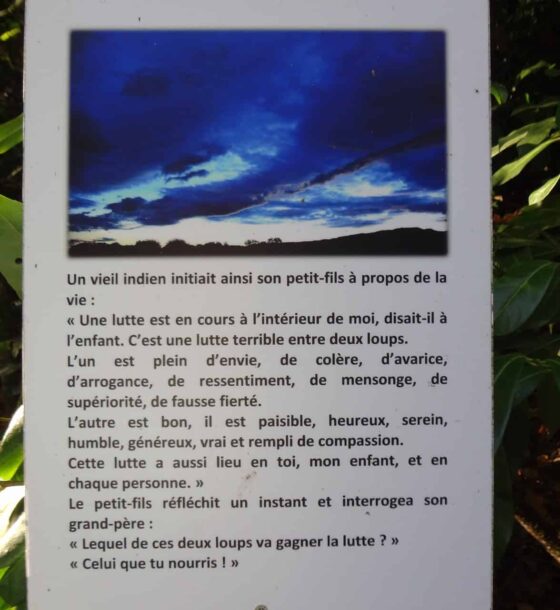 Un panneau dans une forêt avec un ciel bleu en arrière-plan.