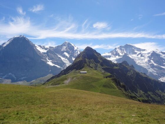 Une vue sur les Alpes suisses depuis le sommet d'une colline herbeuse.