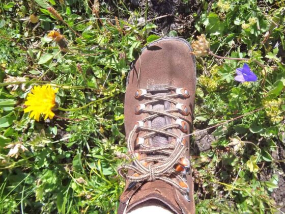 Personne debout dans un champ de fleurs avec vue sur les montagnes.