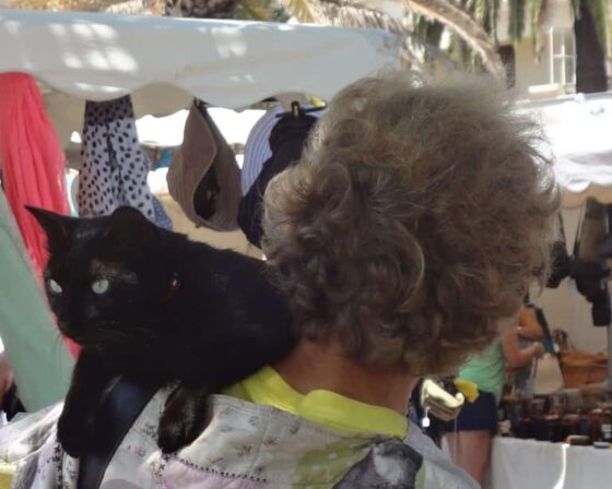 Une femme avec un chat noir sur le dos.
