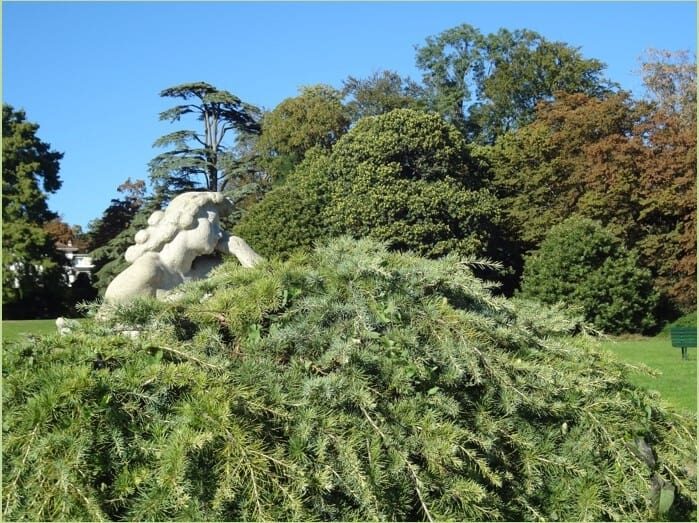 Une statue d'une femme au sommet d'un arbre.