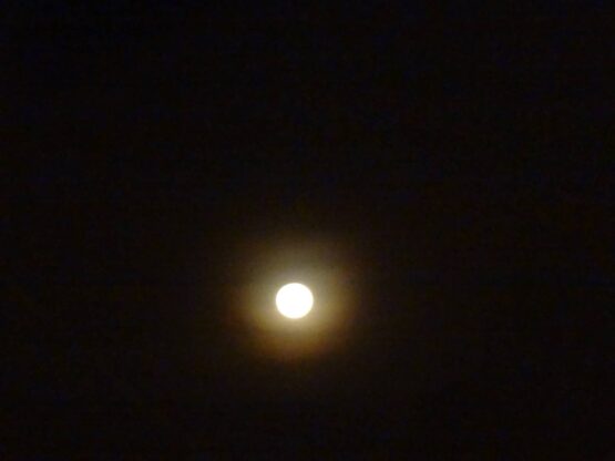 Une pleine lune est visible dans le ciel sombre.