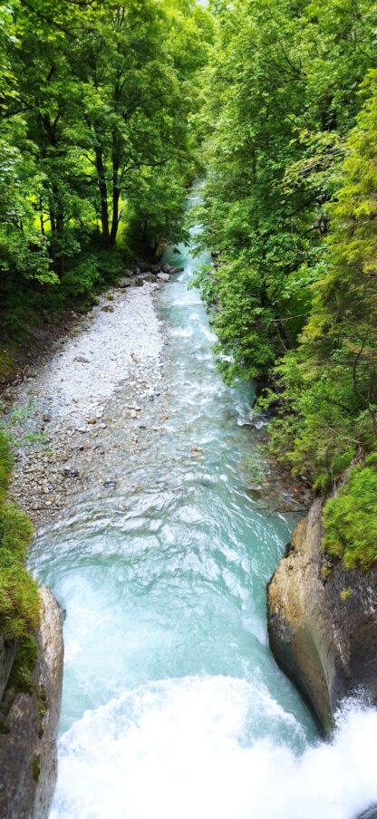 Une rivière qui coule à travers une forêt verte.