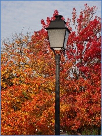 Un lampadaire avec des feuilles rouges et oranges en arrière-plan.