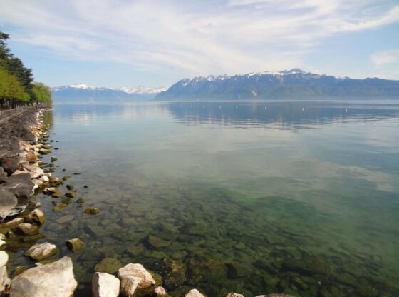 Un lac avec des montagnes en arrière-plan.