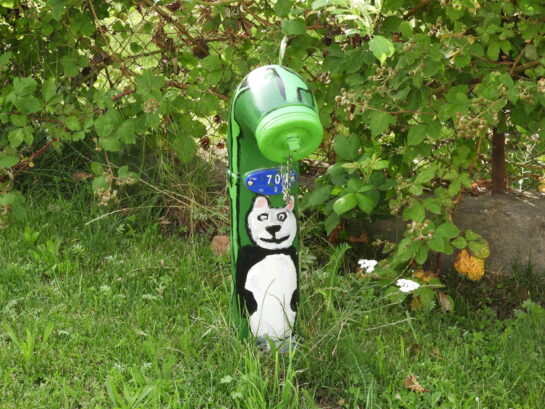 Une bouche d'eau verte avec un chat peint dessus.