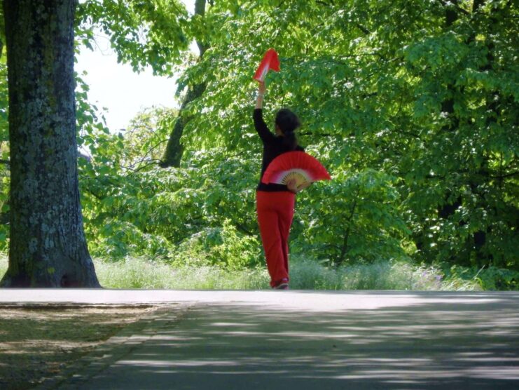 Une femme en tenue rouge fait voler un cerf-volant rouge dans un parc.