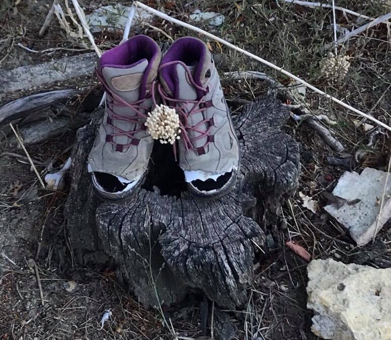 Une paire de chaussures de randonnée posées au sommet d’une souche d’arbre.