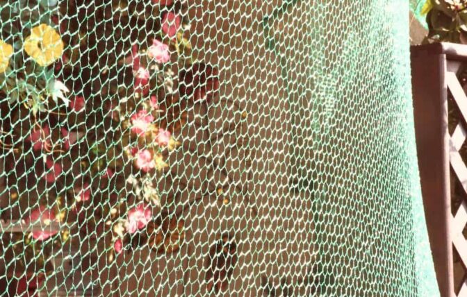 Un filet vert avec des fleurs qui y pendent.