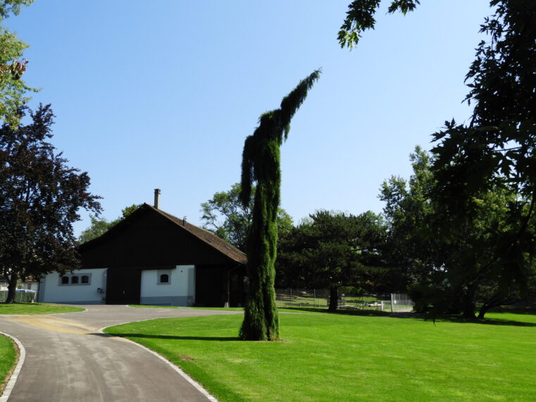 Une route pavée devant une maison.