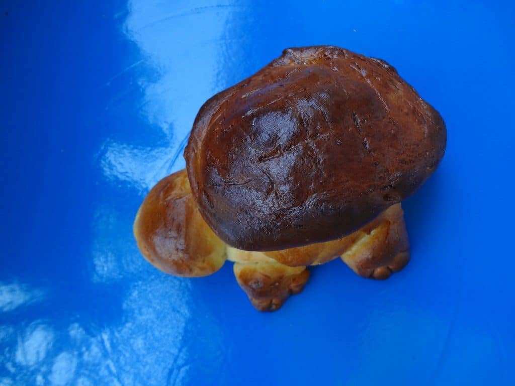 Une image d’un animal en peluche sur une assiette bleue.
